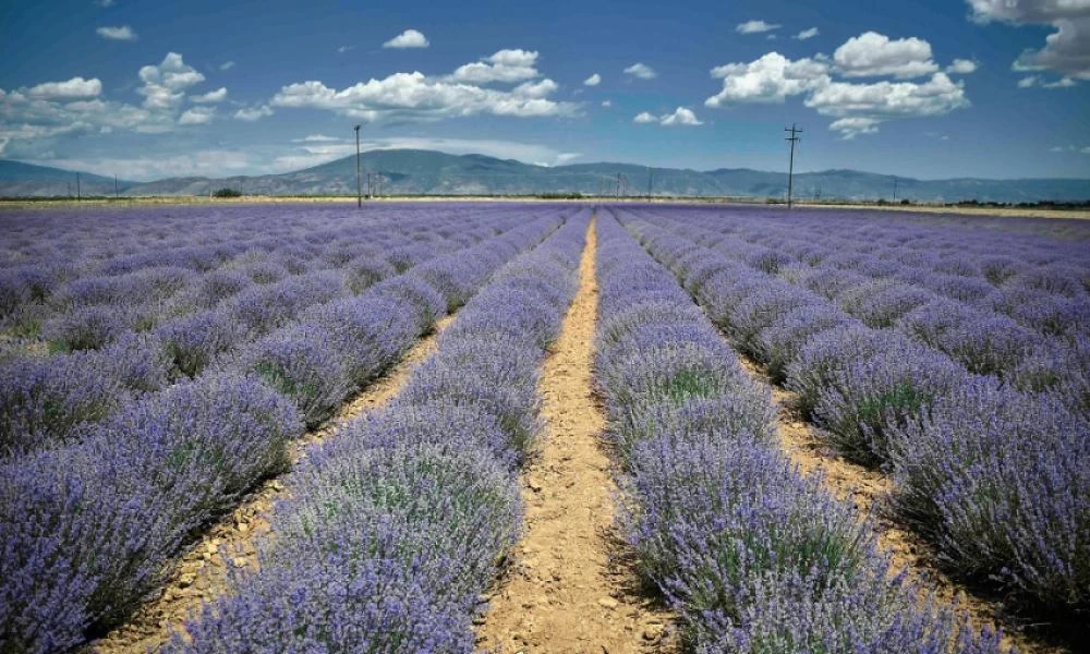 Πρώην στέλεχος της World Bank επενδύει 2 εκατ. ευρώ στην Αρκαδία